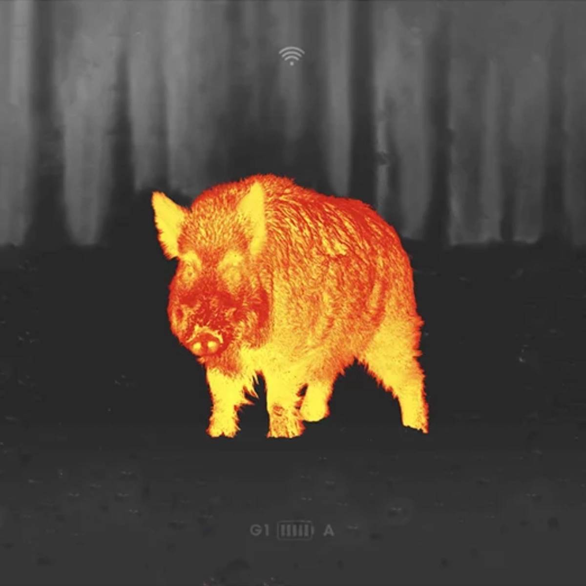 Liemke Luchs 1 bättre bildkvalite