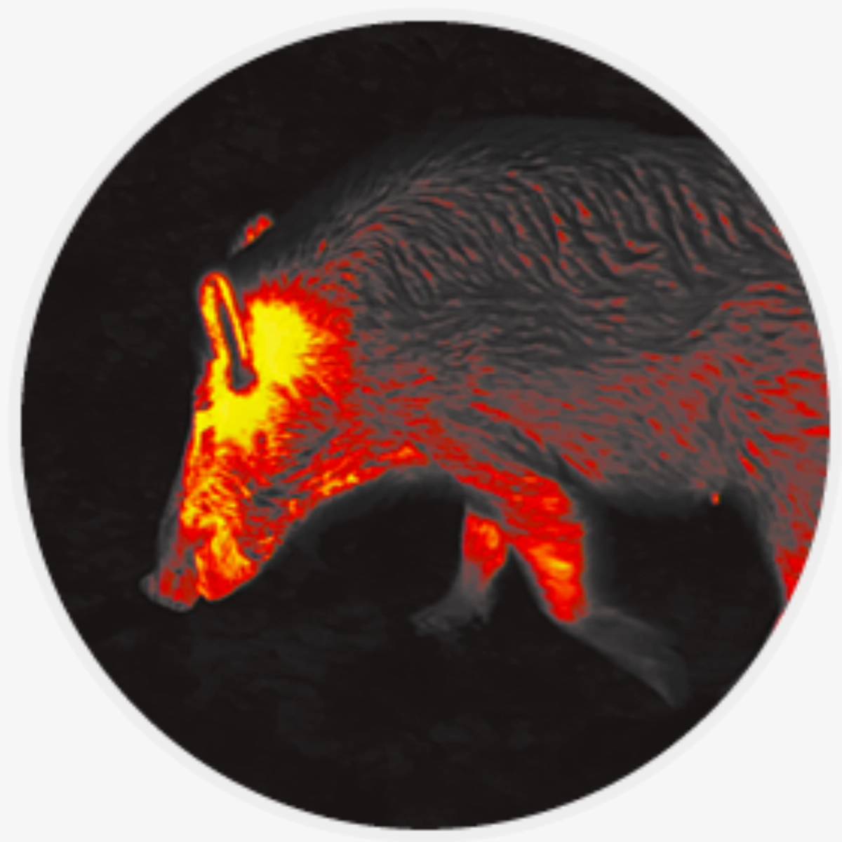 Liemke Luchs 1 bildläge red hot
