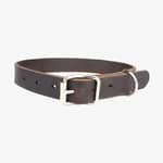 hundhalsband läder 18mm brun