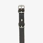 hundhalsband läder 14mm brun detalj fram