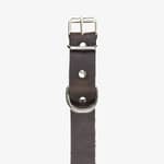 hundhalsband läder 25mm brun detalj fram