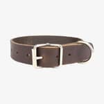 hundhalsband läder 25mm brun
