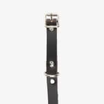 hundhalsband läder 14mm brun spänne