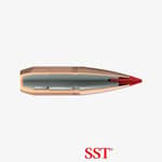Hornady SST Kaliber 30 Kula 165gr-10,7g inne