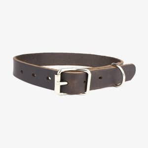hundhalsband läder 18mm brun