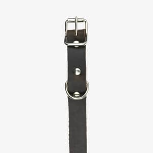 hundhalsband läder 14mm brun detalj fram