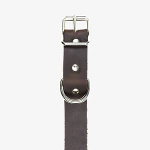 hundhalsband läder 25mm brun detalj fram