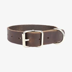 hundhalsband läder 25mm brun