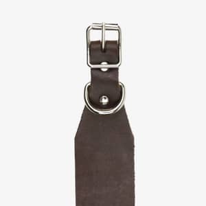 spårhalsband läder brun detalj fram