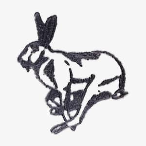 Hare