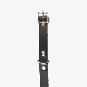 hundhalsband läder 14mm brun spänne