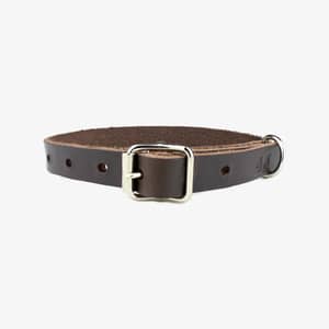 hundhalsband läder 14mm brun