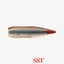 Hornady SST Kaliber 30 Kula 165gr-10,7g inne