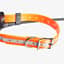 Tracker Artemis Halsband