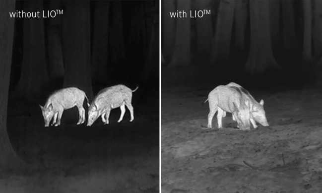 Leica calonox Överlägsen bildkvalitet med Leica bildoptimering