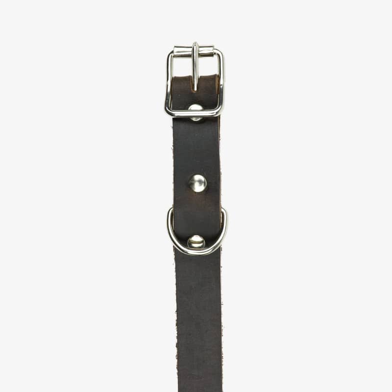 hundhalsband läder 14mm brun detalj fram