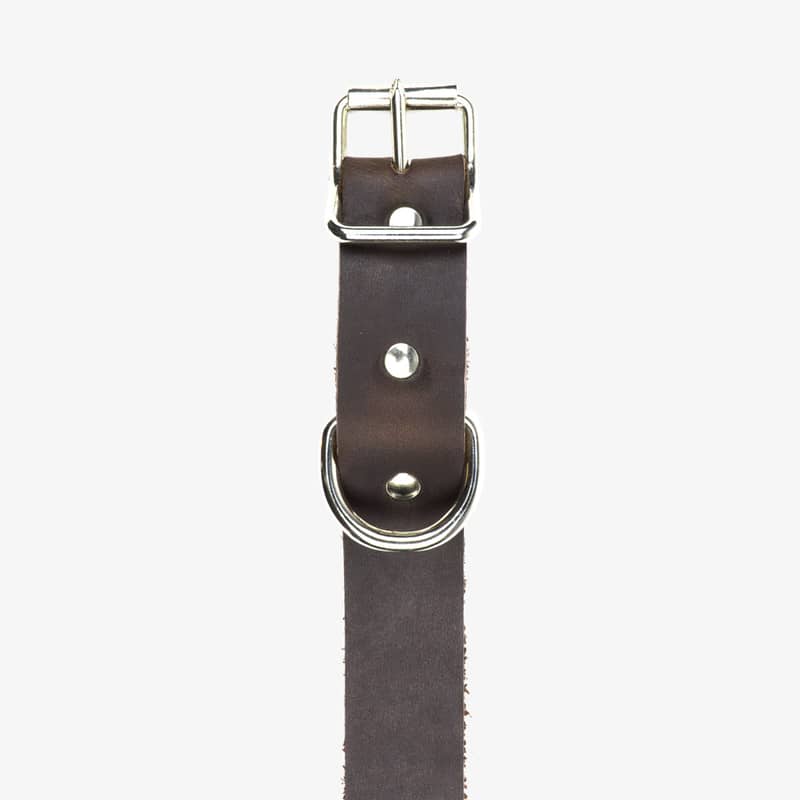 hundhalsband läder 25mm brun detalj fram