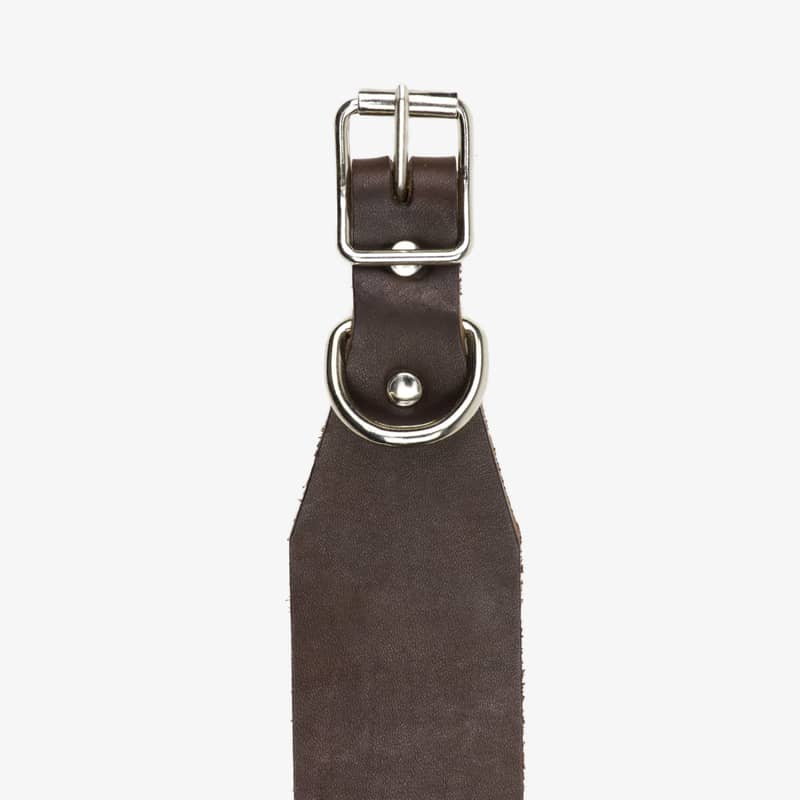 spårhalsband läder brun detalj fram