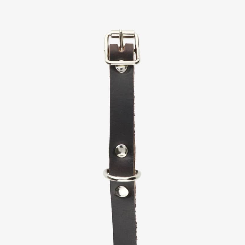 hundhalsband läder 14mm brun spänne