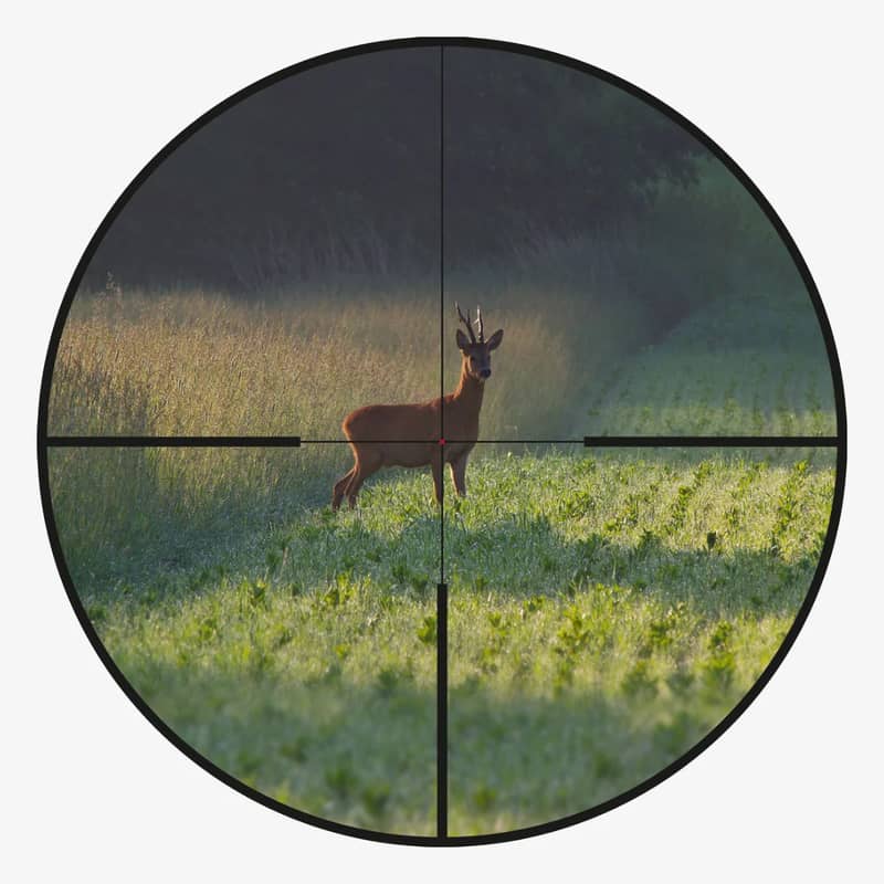 Blaser B2 riktmedel