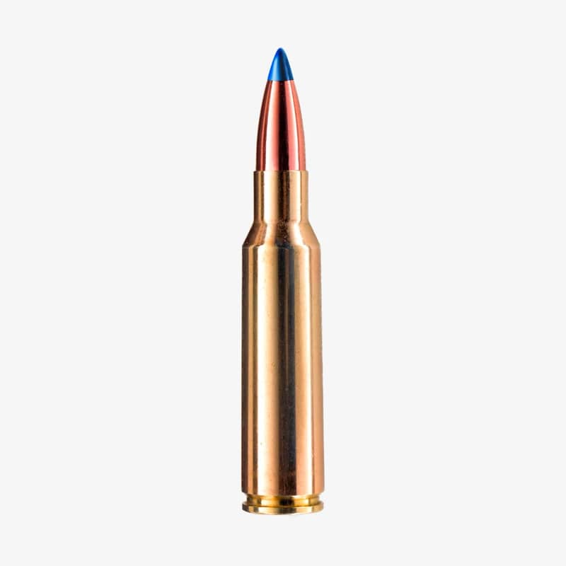 Blaser Ammunition 8,5x55 Blaser Barnes TTSX 160 Grain Blyfri Kula