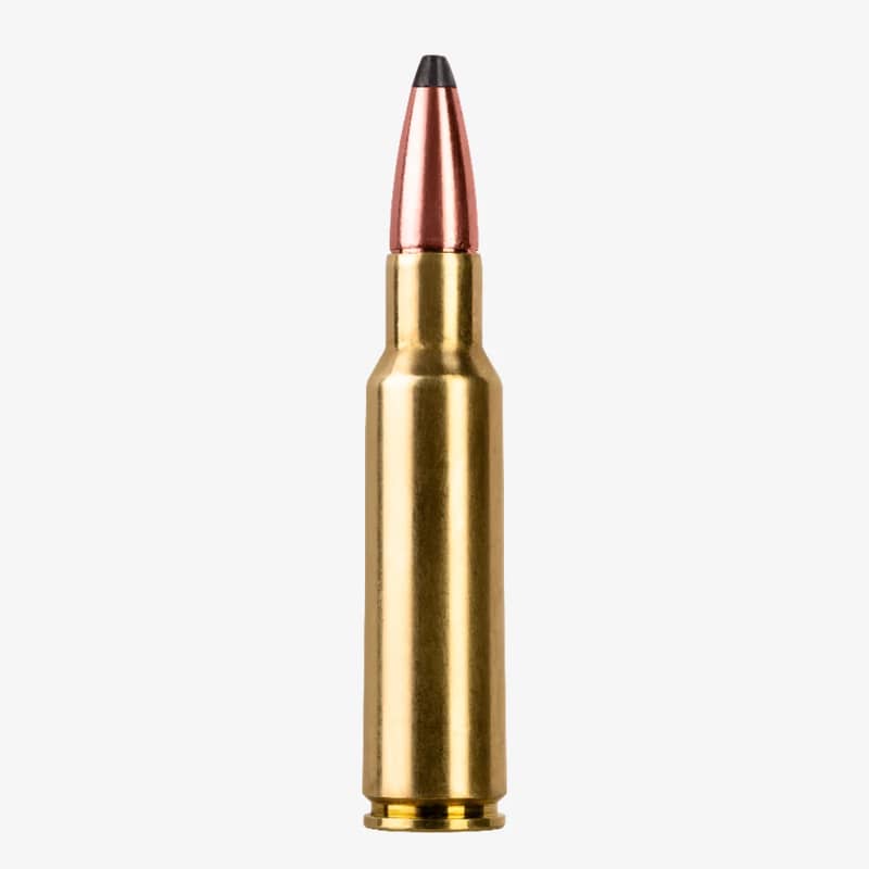 Blaser Ammunition 8,5x55 Blaser Norma Softpoint 210 Grain Kula