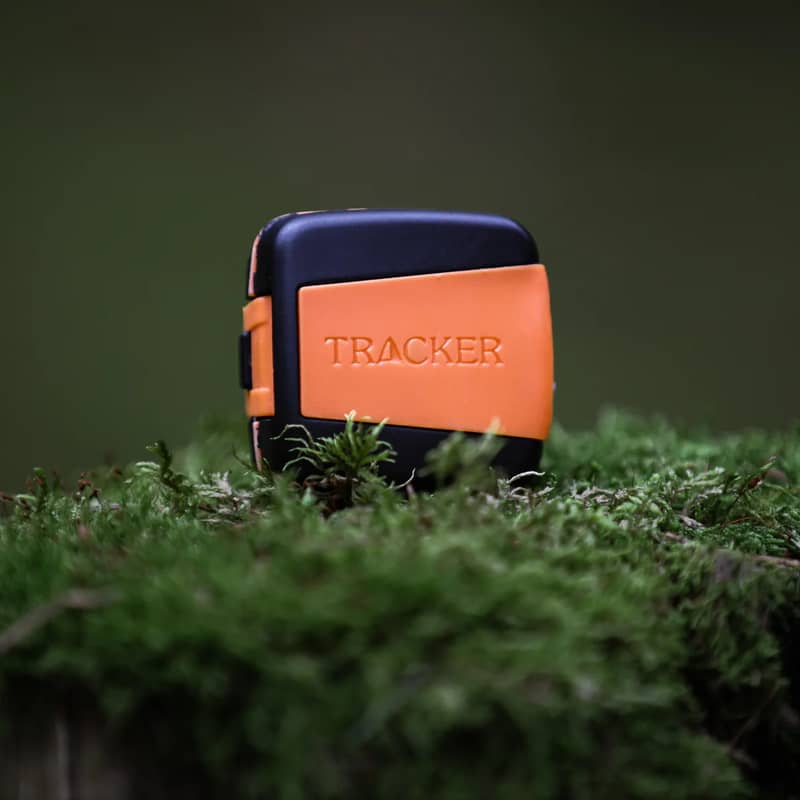 Tracker Bark på stubbe