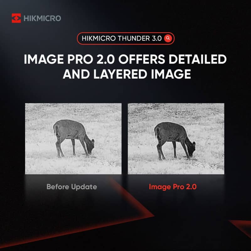 Jämförelse av bildkvalitet mellan standard och Image Pro 2.0 algoritm på Hikmicro Thunder 3.0 som visar förbättrad detaljrikedom på ett rådjur.