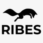 Ribes